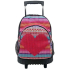 HD  3D Heart Trolley 46cm